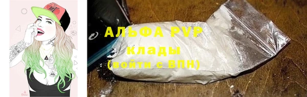 хмурый Абаза