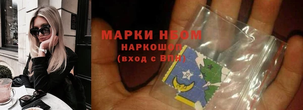 хмурый Абаза