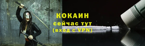 хмурый Абаза