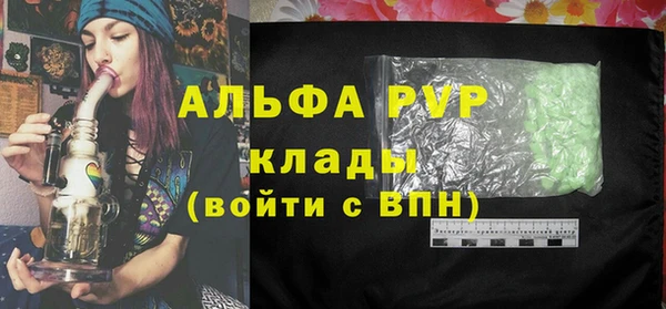 хмурый Абаза