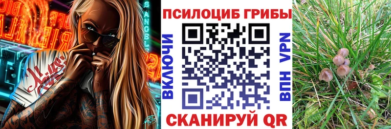 Псилоцибиновые грибы GOLDEN TEACHER  что такое   Сокол 